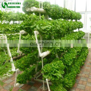 Hydroponic Lettuce Gutter Systems