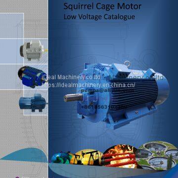 Three phase electric motor