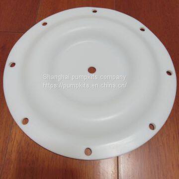 1A071 Diaphragms  PTFE Parts Fit Blagdon Pumps