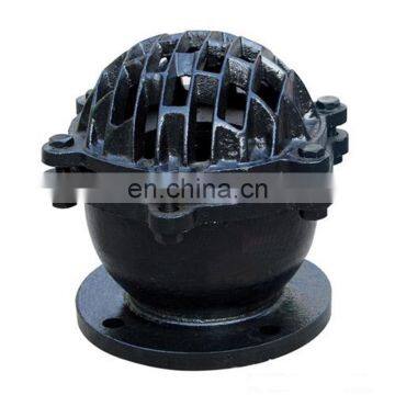 Cast Iron Flange Foot Valve with Strainer