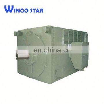 Wingo Star High Voltage y Series Three Phase Powerful Electric Motor 6kv
