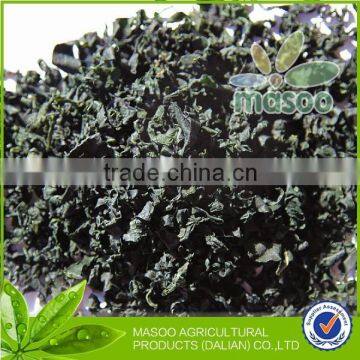 1 Best selling kosher dried wakame from China