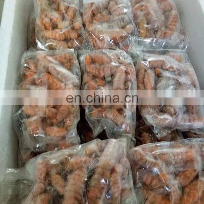 Exporting Fresh Turmeric From Vietnam