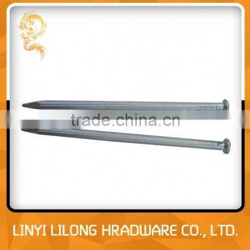 Galvanized Iron Concrete Nail