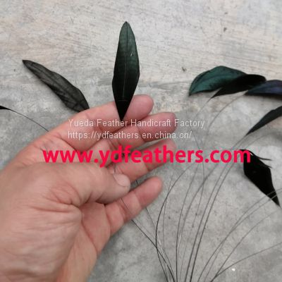 Stripped Rooster/Coque/Cock Tail Feather From China