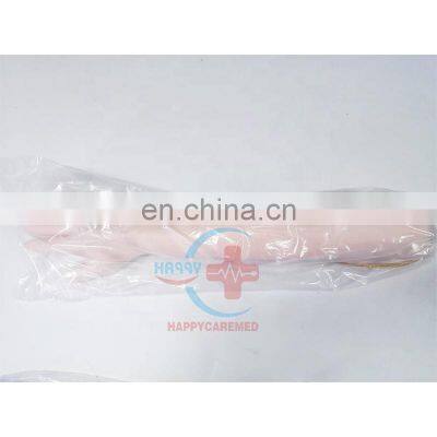 Manikin HC-S143 Arm Vein Puncture Training Model,medical Training Model Medical Blood Collection Arm Training Model photo-4