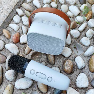 Outdoor rechargeable mini karaoke kit speaker portable handheld wireless mike for karaoke speaker