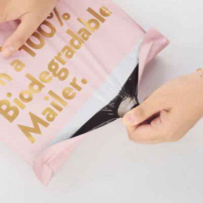 Custom Logo Printed Compostable Courier Mailing Bag Plastic Packaging for Shipping Envelopes