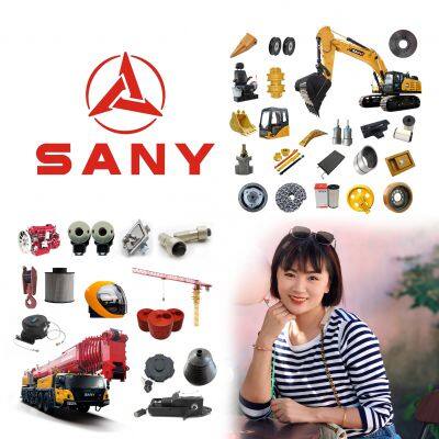 Wholesale Price SANY Excavator Parts Manufacturer SANY Parts Spare Parts for Excavator