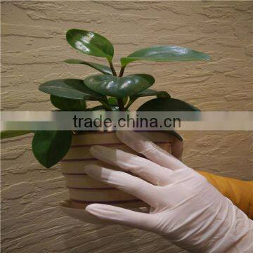 medical latex gloves latex gloves,wholesale latex examination gloves