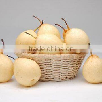 New Crop Fresh Ya Pear With Competitive Price