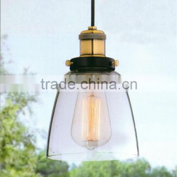 Pendant light with edsion bulb