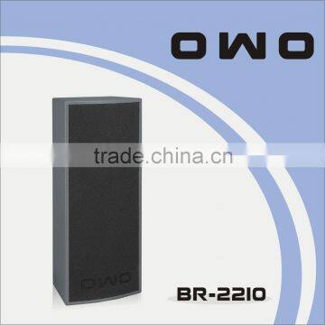 BR Series PA Loudspeaker BR-2210