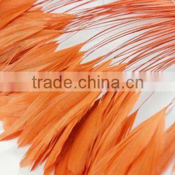 Rooster feather trims LZXZ00221