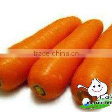 Fresh Carrot in Fresh Carrots,Organic Carrots