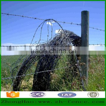 Hot dipped galvanized PVC coated Barbed Wire Fence directly sale from factory