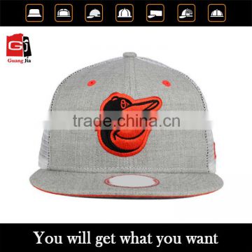 Hot Sale High Quality Embroidery or Printing Promotional Mesh Cap