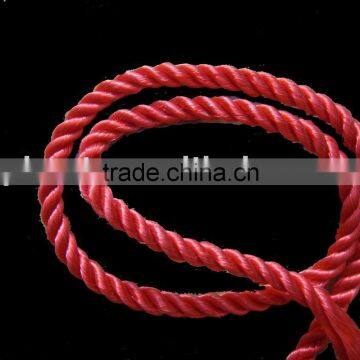 Red Twisted PP Rope