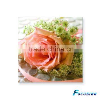 decorative tempered glass wall art/glass wall picture