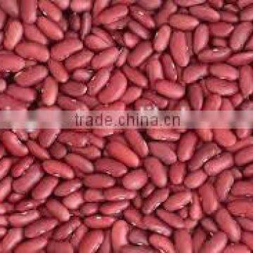 CHINA Red Kidney Beans With Excellent QualityI (hot Sale)