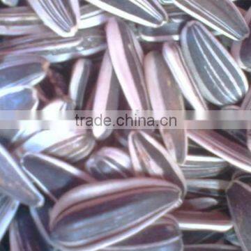 Chinese sunflower seeds sandaomei with best price for sale