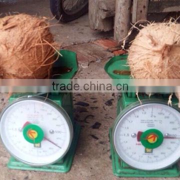 DRIED MATURE COCONUT / SEMI HUKSED COCONUT 2016 - HIGH QUALITY