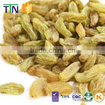 TTN wholesale dried seeded green raisin from Xingjiang