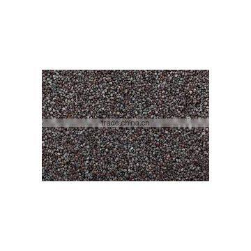 Poppy Seeds photo-3
