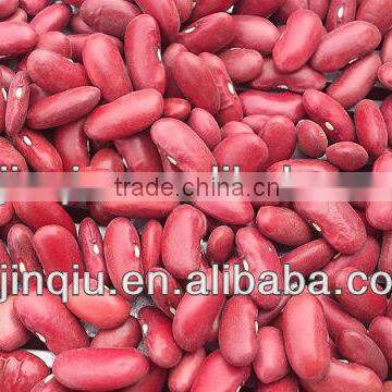 2015 Crop Kidney Bean photo-6