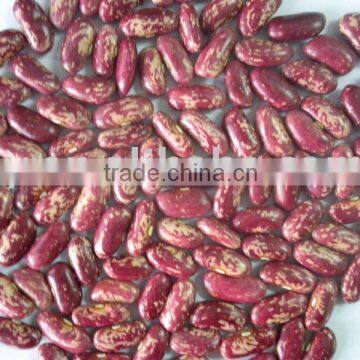 2010 New crop Red Speckled Kidney Beans