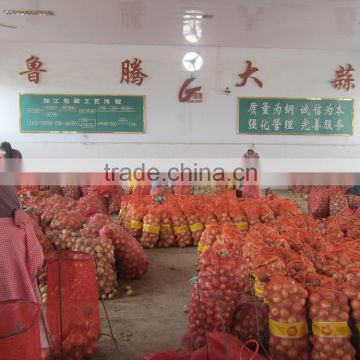 Chinese fresh yellow onion red onion for sale