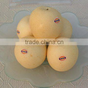 2014 crop fresh pear crown pear with best quality