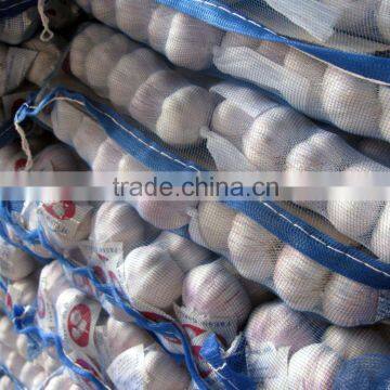 Shandong Natural Good Quality And Low Price Fresh Garlic
