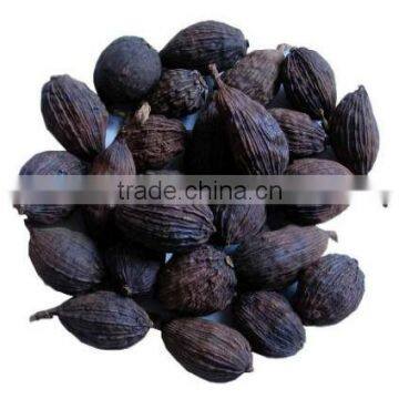 BLACK CARDAMOM WITH BEST QUALITY FROM VIET NAM