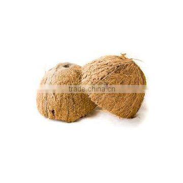 natural coconut shell
