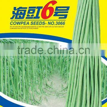 Seeds for cowpea seed