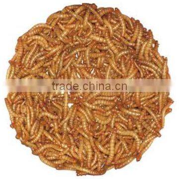 Protein Natural Feed Dried Mealworm Bird Food photo-4