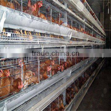 Exporting high quality chicken breeding cage