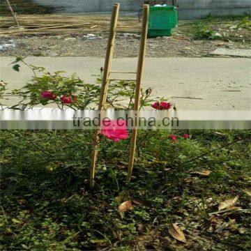 FD - 151117Garden Seedlings Support Bar photo-2