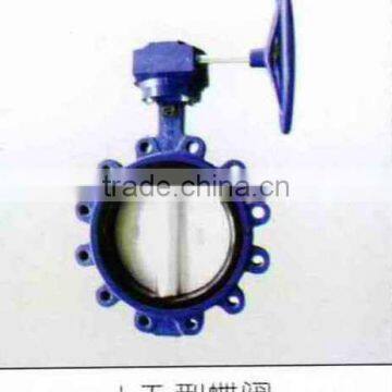 butterfly valve custom