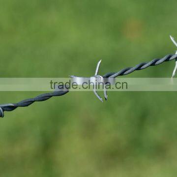 Cheap! Hot-diped/ Electric galvanized Double Twist Barbed wire real factory