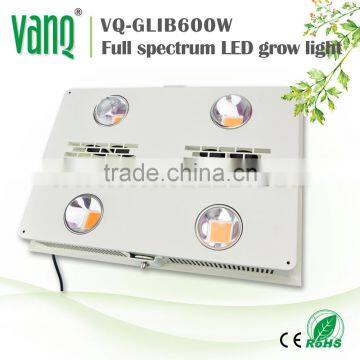 Veg flower 600W COB led grow plant light for hydroponics farm