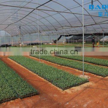 Large Plastic Film Greenhouse With Control System for Plant Growth