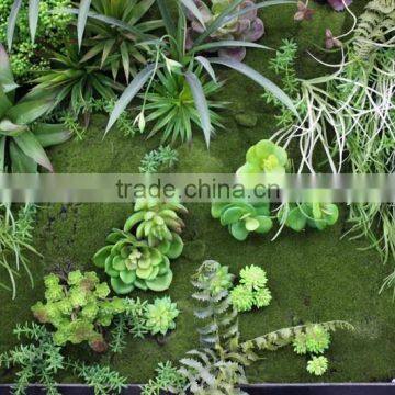 grass wall manufacturer packing System Modular Green Wall