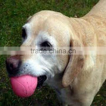 Custom Color Pet Ball photo-3