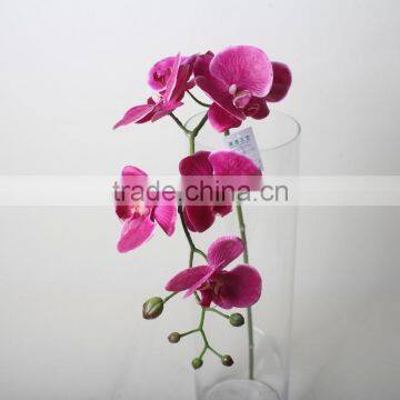 Plastic Butterfly Orchid Artificial Butterfly Orchid Decorative Flowers for Promotion photo-2