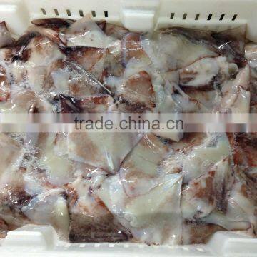 Frozen Squid Wing photo-2