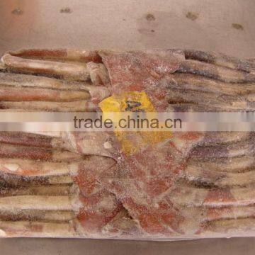 Frozen Argentina Squid(illex Squid) photo-2