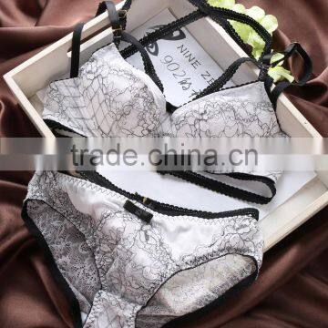 2016 New Design Fashion Sexy Fancy Bra Panty Set photo-2