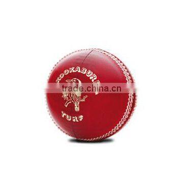 KOOKABURRA TURF Ball